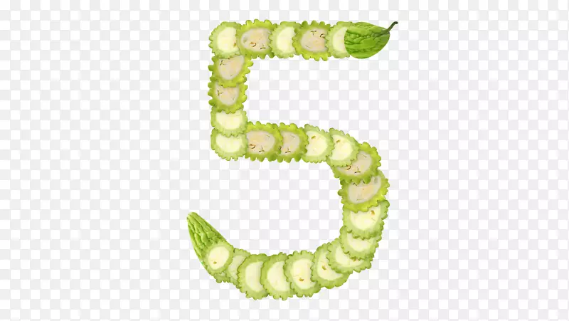 �����׳�-ֲ����-������