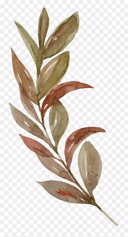 ˮ�ʻ�������ˮ�ʻ�pngͼƬͼ��-������