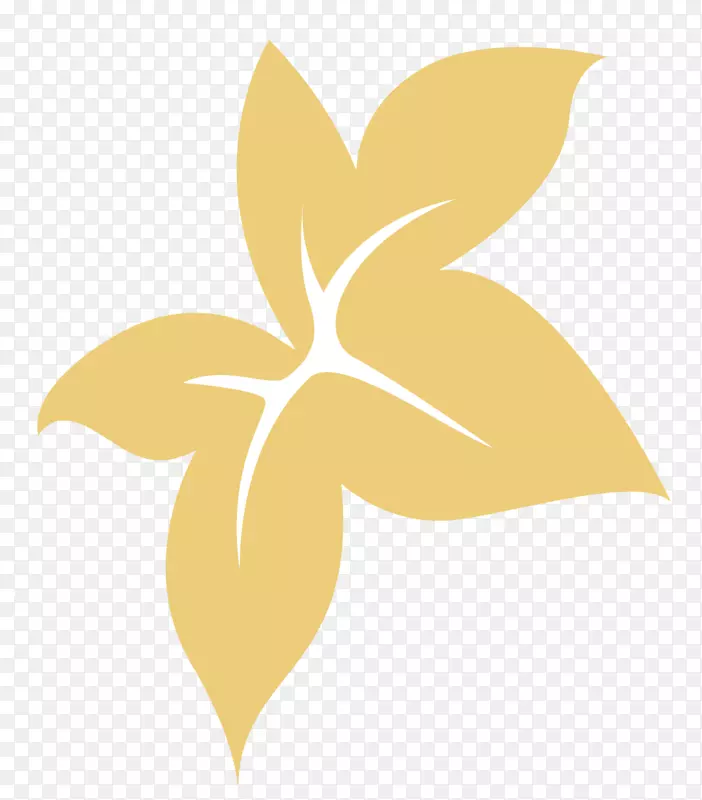 �����ֽ������ʥ���ڵ��Կ���ֲ��-������