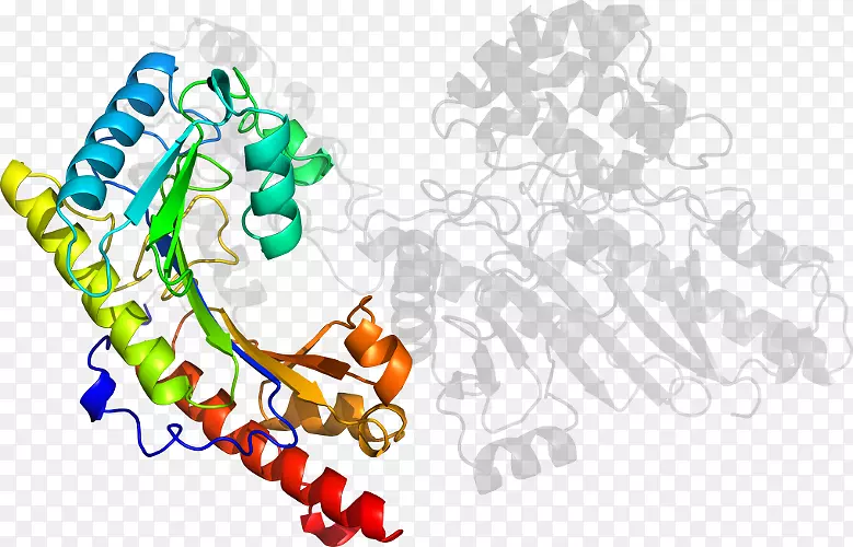 ��������Ʒ�л����߶���-Rea-������