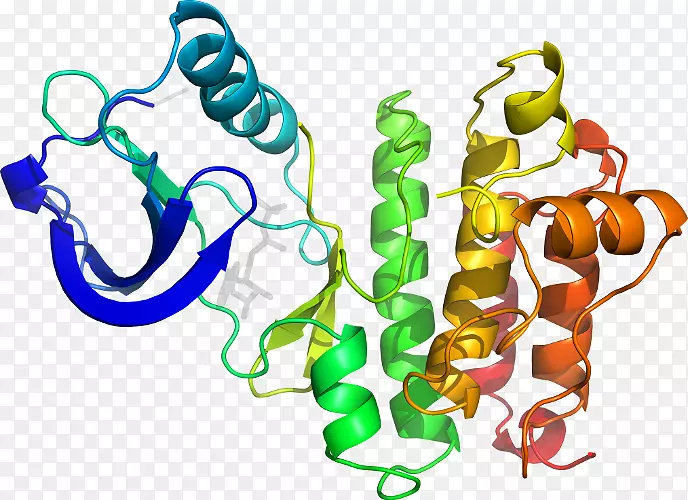 �������л�����������-������