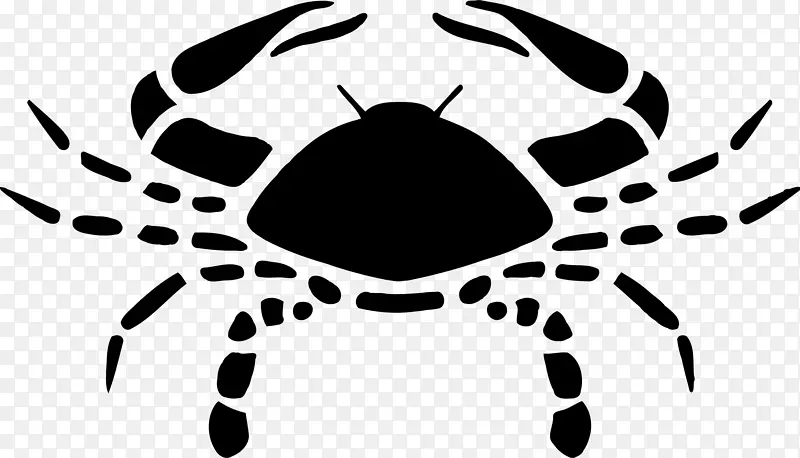 ��֢ռ��ѧ��������������-ʮ����Ф-������