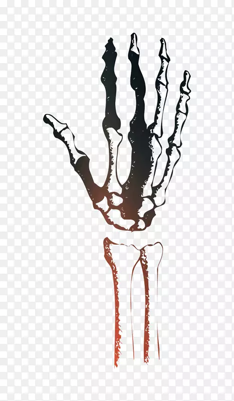 ��ͼ��ָͼ��������-������