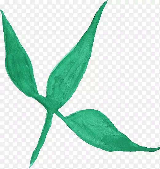 ˮ�ʻ�ֽ.ˮ�ʻ�Ҷ-������