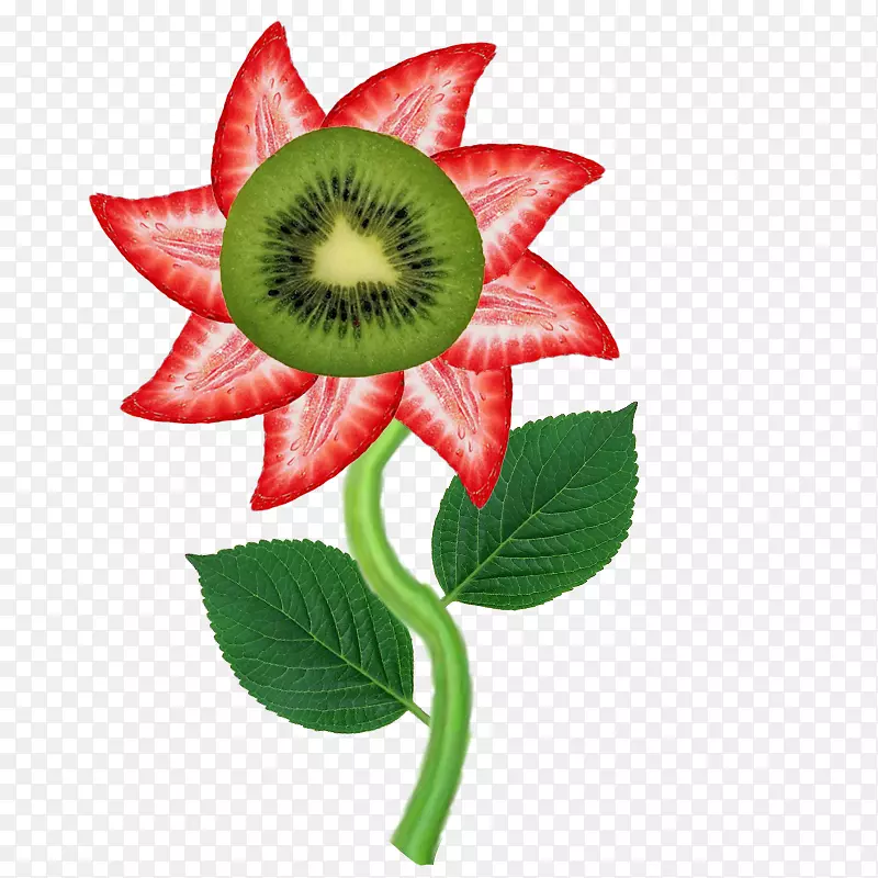 ����ֲ�ﾥ.����ͼ��-������