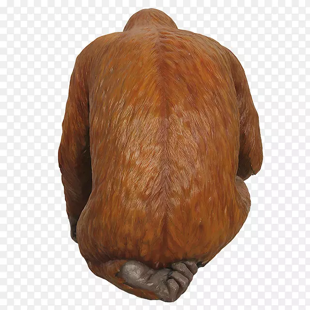 ľƤ����-����-������