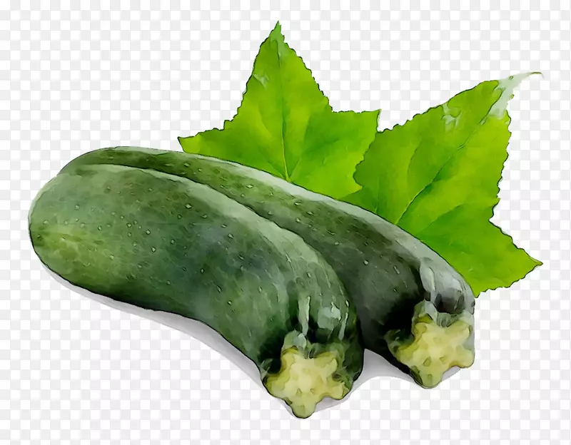 �ƹ���ɫֲ�ﲡ��ѧ����ʳƷ-������