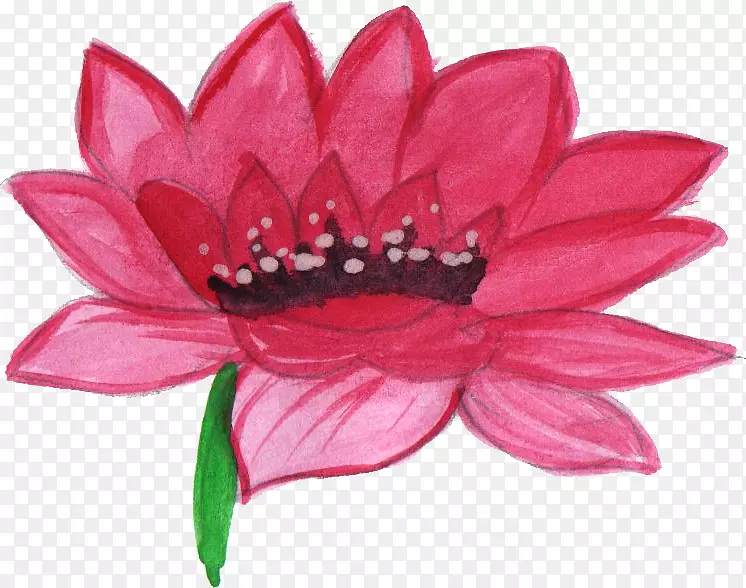 ������ٱ�ˮ�ʻ�-������