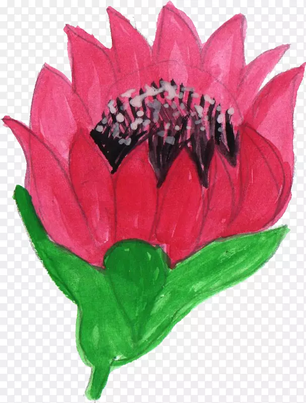 �л�����ˮ�ʻ��ٱ�ˮ�ʻ�-������