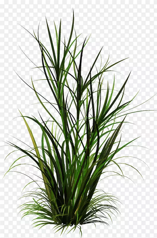 ���Ͳ�pngͼƬ��ɫ��Ȫ�ݼ�����-������