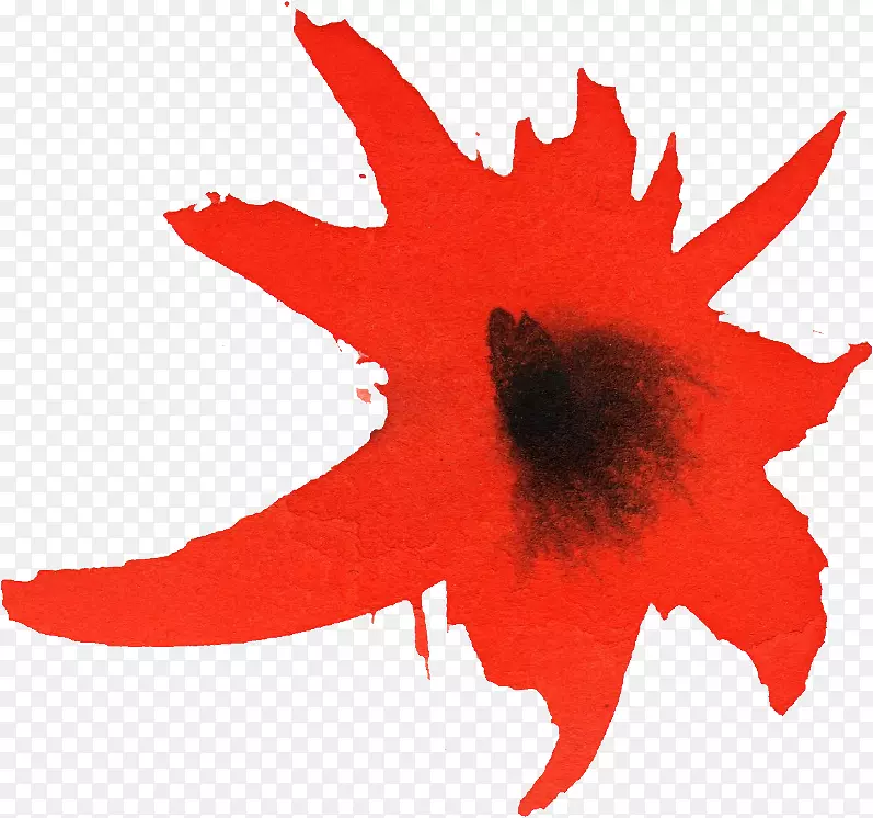 ͸��ˮ�ʻ���������ˮ�ʻ�-������