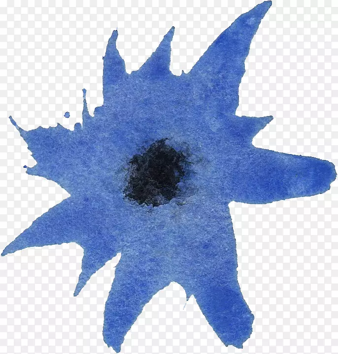 ˮ�ʻ���Ӱ.ˮ�ʻ�-������