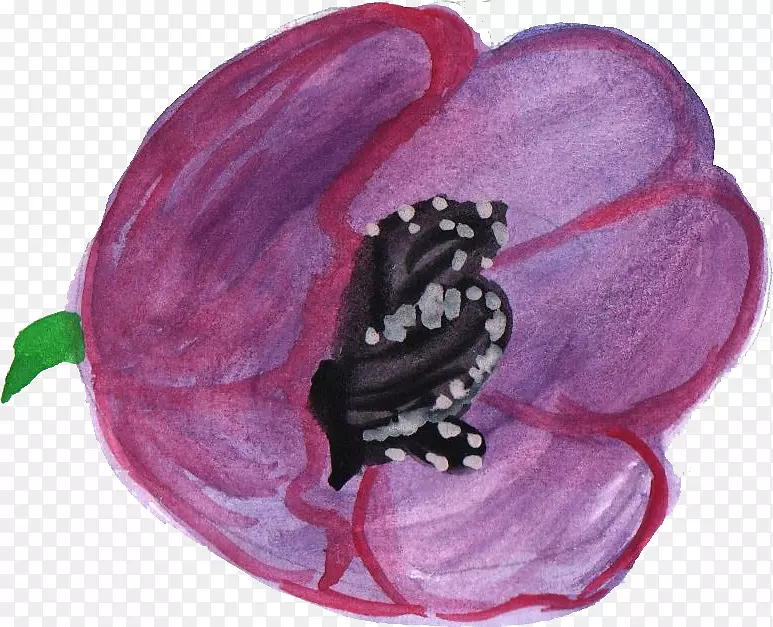 ������ˮ�ʻ��ٱ�ˮ�ʻ�-������