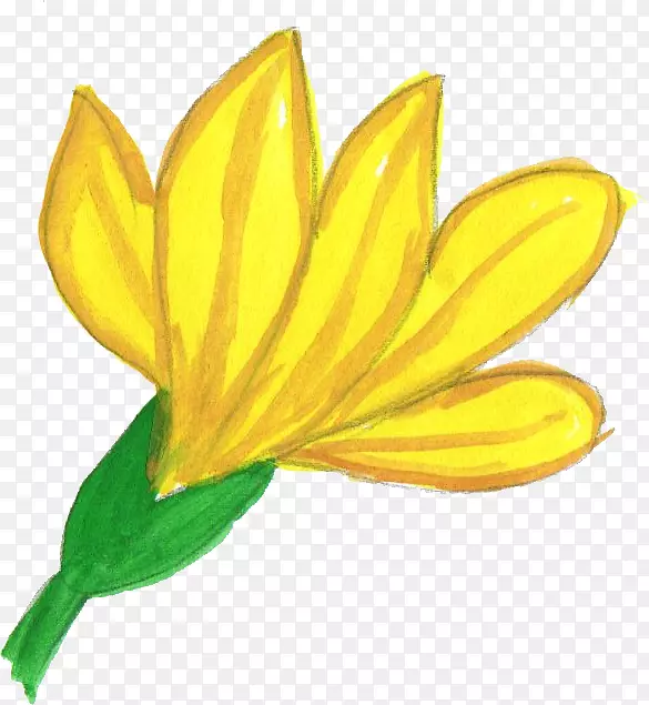 ˮ�ʻ���-ˮ�ʻ���-������