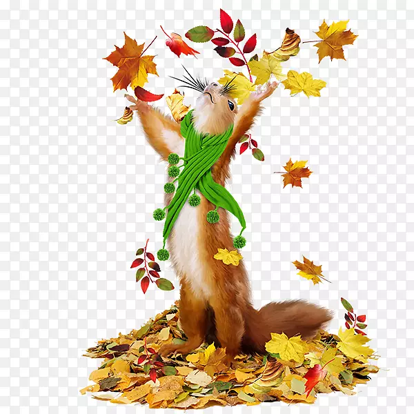 ����meds�Ŀ���ֲ����ͼ�����Ĳ�����ѧ��һ�ֿɱ�̵��ı���ͼ-cat-������