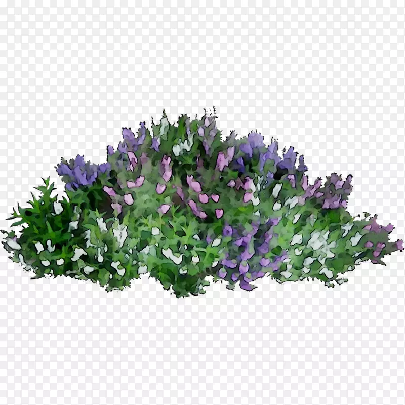 ��������������pngͼƬͼ���ͼ-������