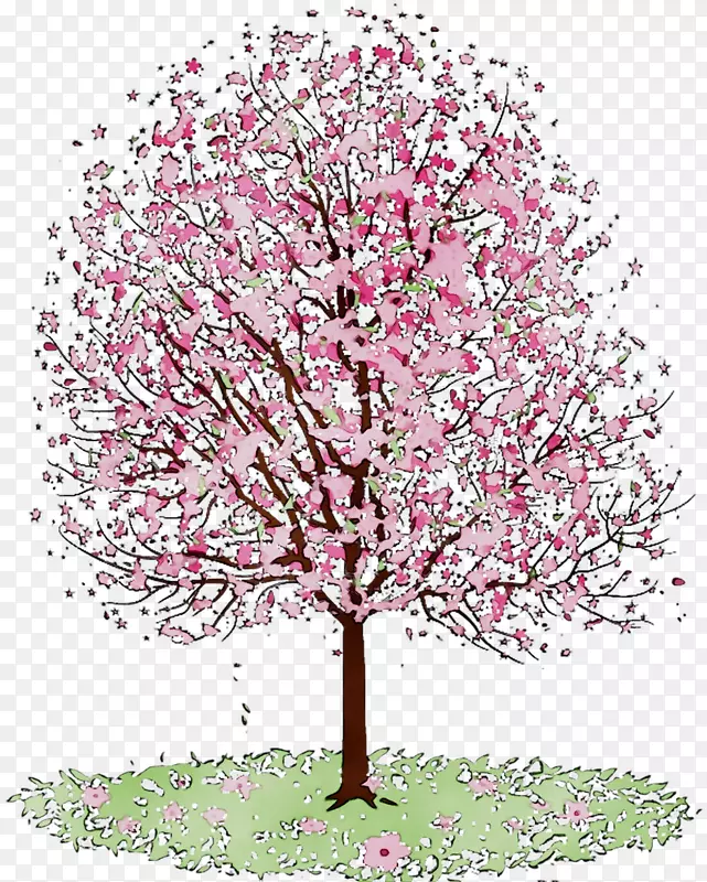 ӣ�һ�.150����v.unc.nr�Ϳ���ֲ��ӣ�Ҳ�ͼ-������