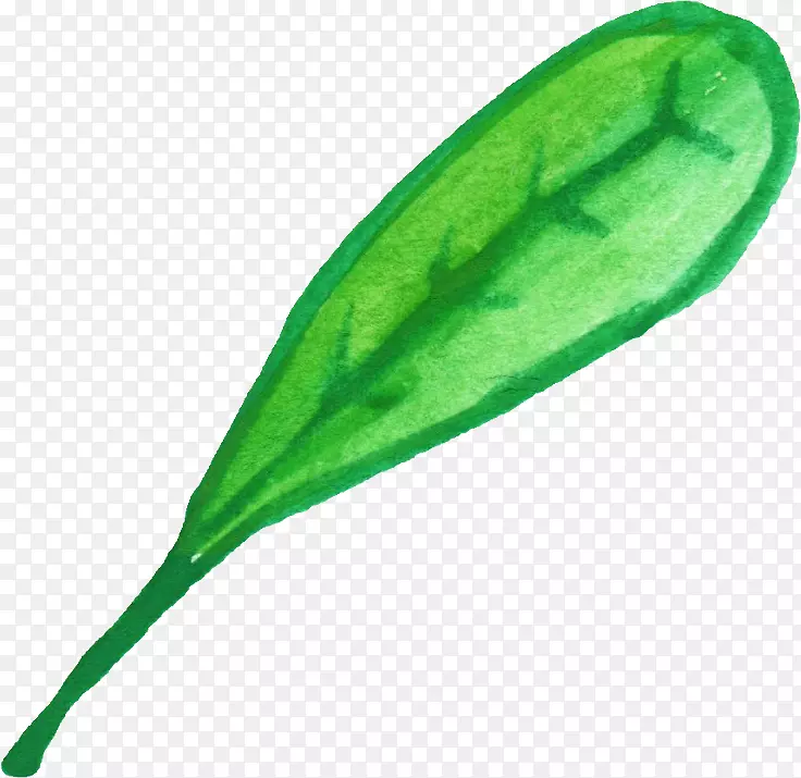 Ҷˮ�ʻ�ֲ�ﾥ-ˮ��Ҷ-������