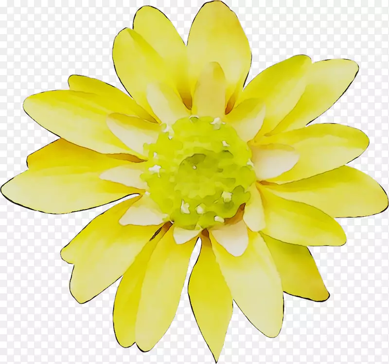 ���껨���л�-������