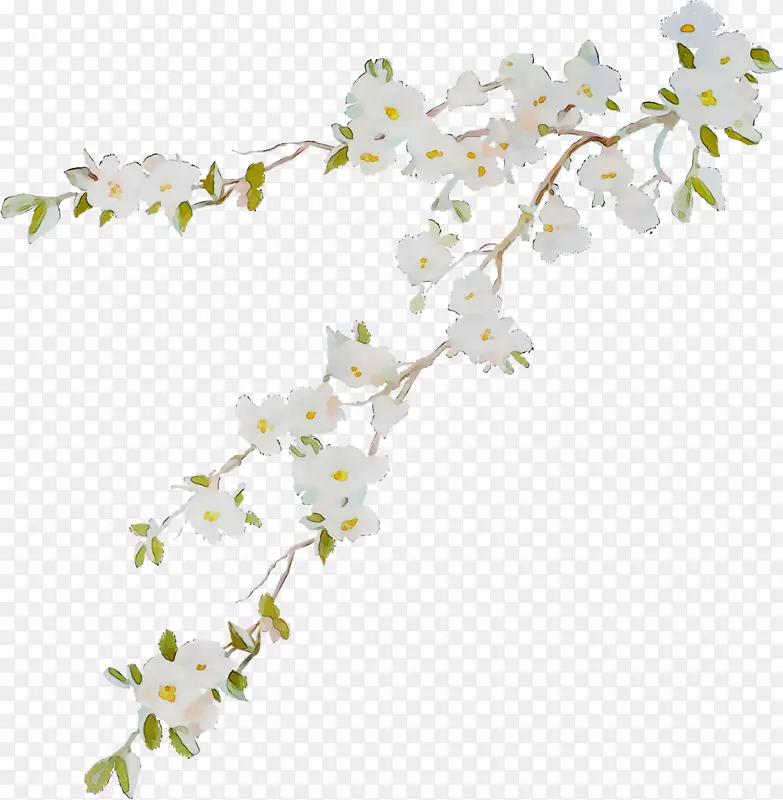 ӣ�һ�.150����v.unc.nr�Ϳ���ֲ��ӣ��-������