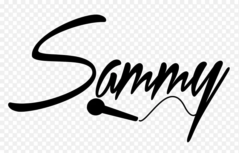 ���(������)(���ϻ�������)С���ż�ʻ��־-������