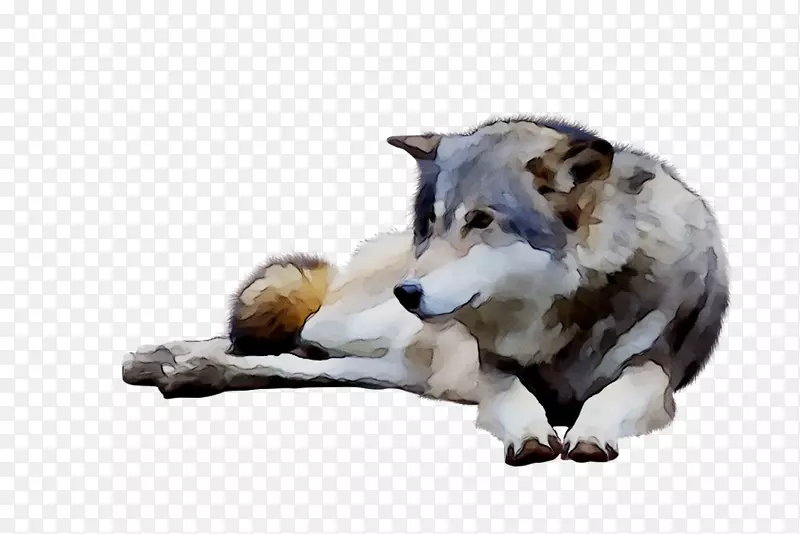 ���ı���ë-������