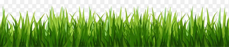 ��ƺ�����ֽ������-��-������