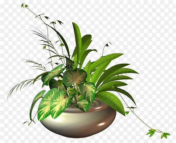 ���軨̳���-������