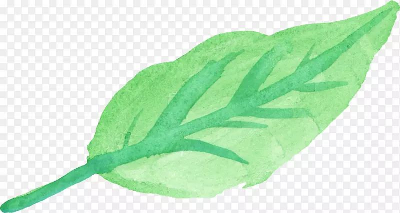 ͸��ˮ��Ҷˮ�ʻ�-������