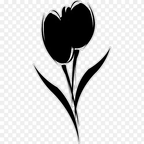 ����ֲ�������Ҷ��-������