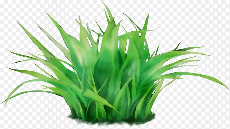 ������ݻ�ˮ���װ�������򾭵��ղ�-������