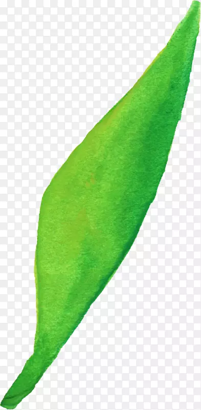 ��ֽ����.ˮ�ʻ�Ҷ��-������