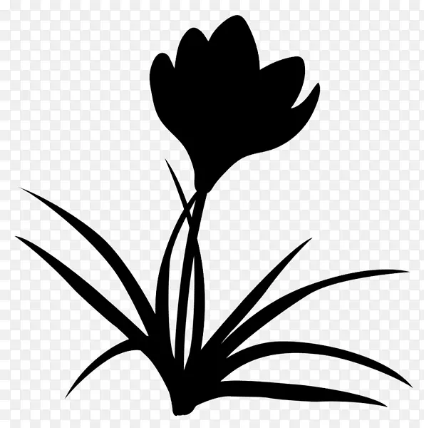 ������Ҷֲ�ﾥ��������ֲ��-������