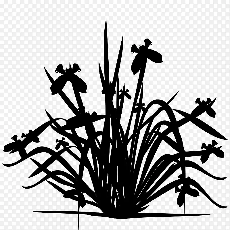 ��֦����ֲ�ﾥ������-������