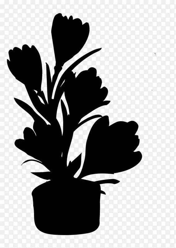 ����ֲ�ﾥҶ����-������