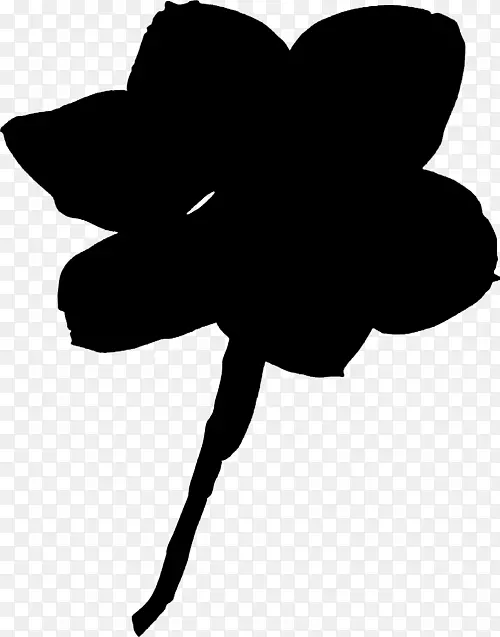 ��������ӰҶ����ֲ���֦-������