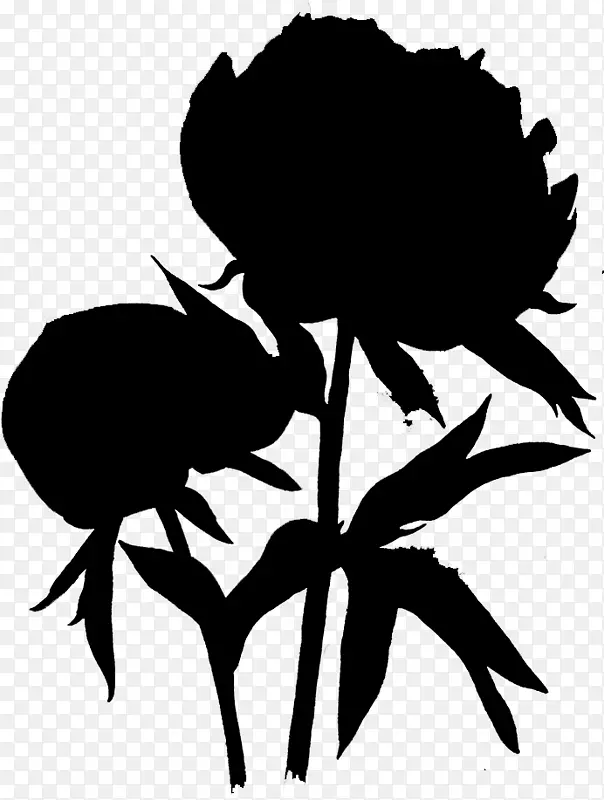 ���滨������Ҷֲ�ﾥ-������