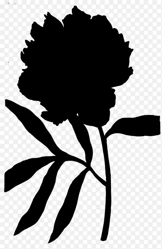 ��ֽ����ֲ�ﾥ��������ֲ��-������