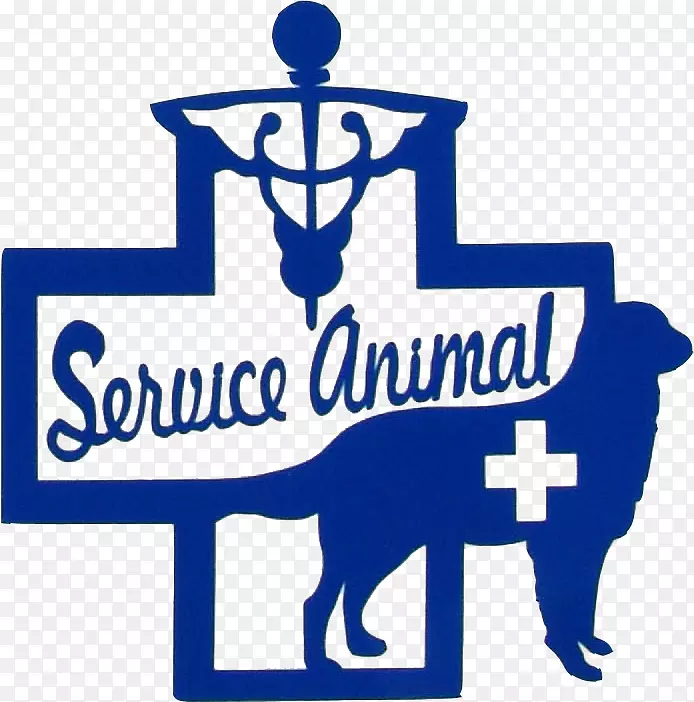 ��������־��֯Ʒ�Ʋ�Ʒ-������ѵ-������