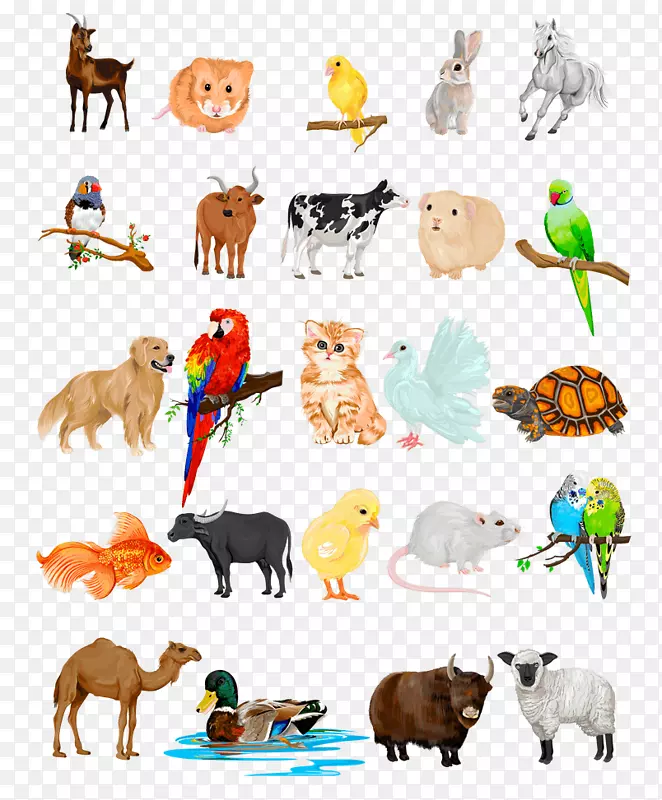 è����ͼ����Ӱ��ͼ.˫�嶯��װ��Ʒ-������