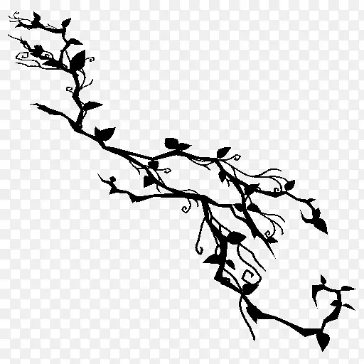 ����ֲ�ﾥҶ������-������