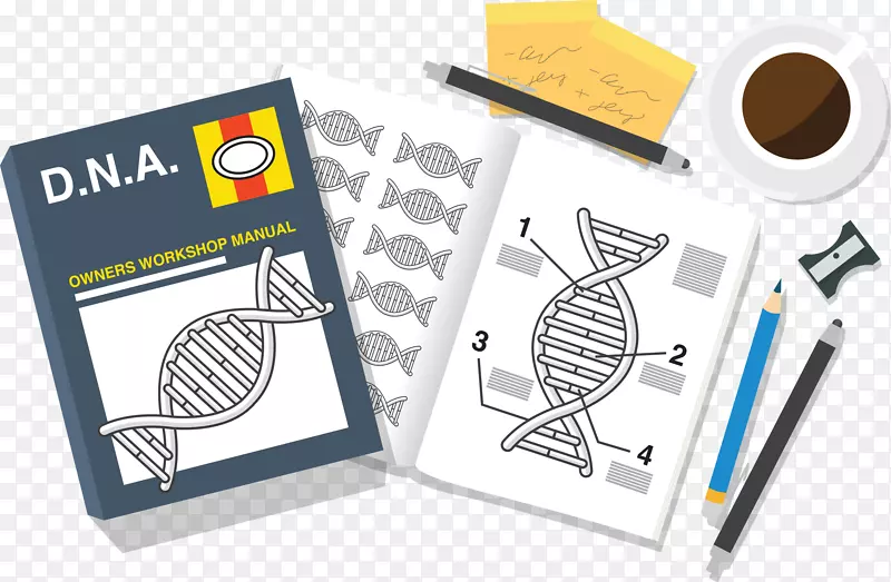 13�꼶�����ѧ���＼��CRISPR-������Ϣͼ-������