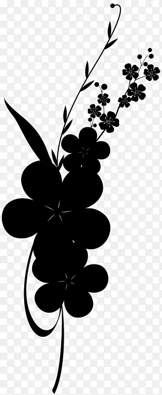 Ҷֲ�ﾥ�������忪��ֲ��-������