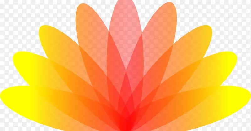 �����ֽ���Գ�ɫS.A.-������-������