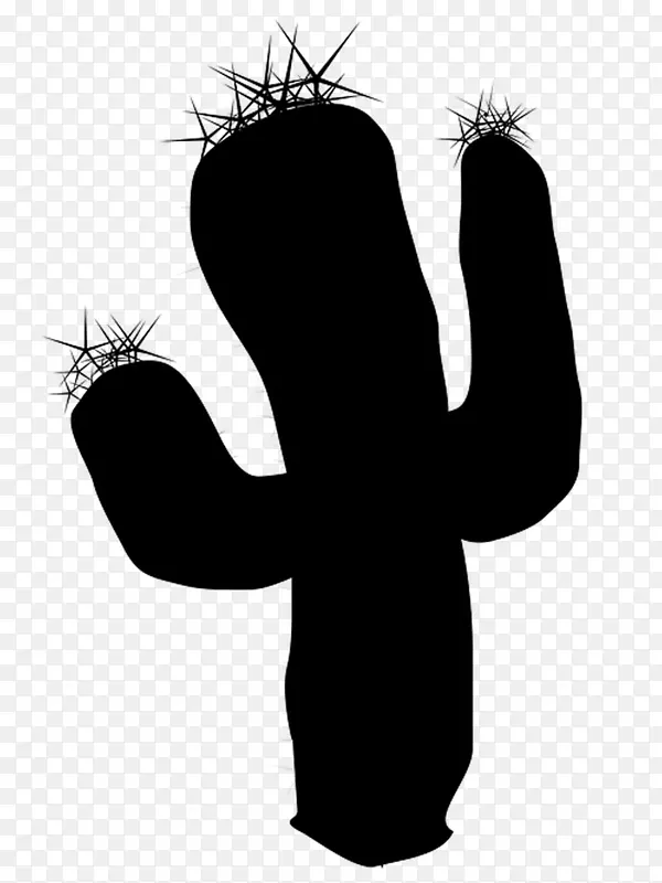 Ĵָ����ֲ�������Ӱֲ��-������