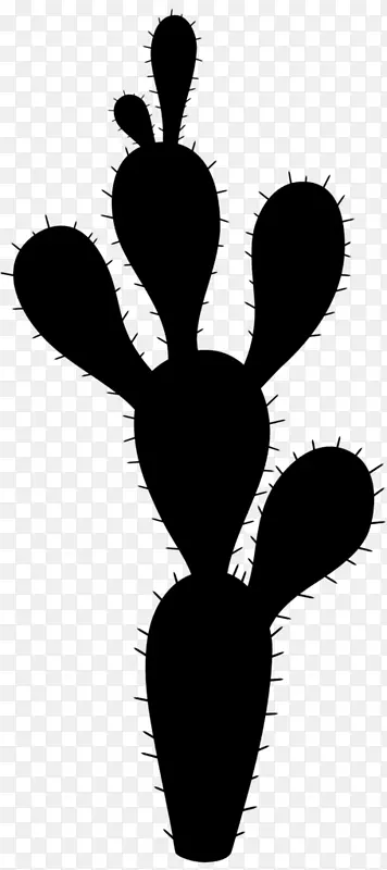 ���滨��ֲ�ﾥҶ������-������