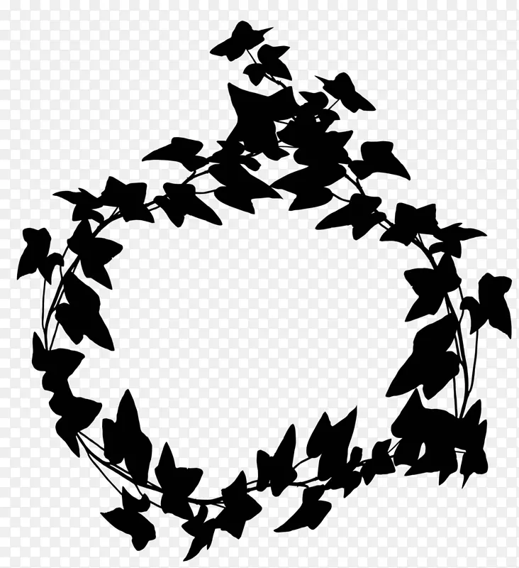 ��������Ӱͼ��Ҷ����ֲ��-������