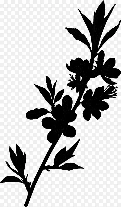 Сֲ֦�ﾥҶ��Ӱ����ֲ��-������