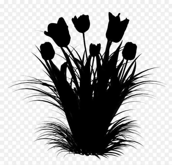 ����ֲ��-������