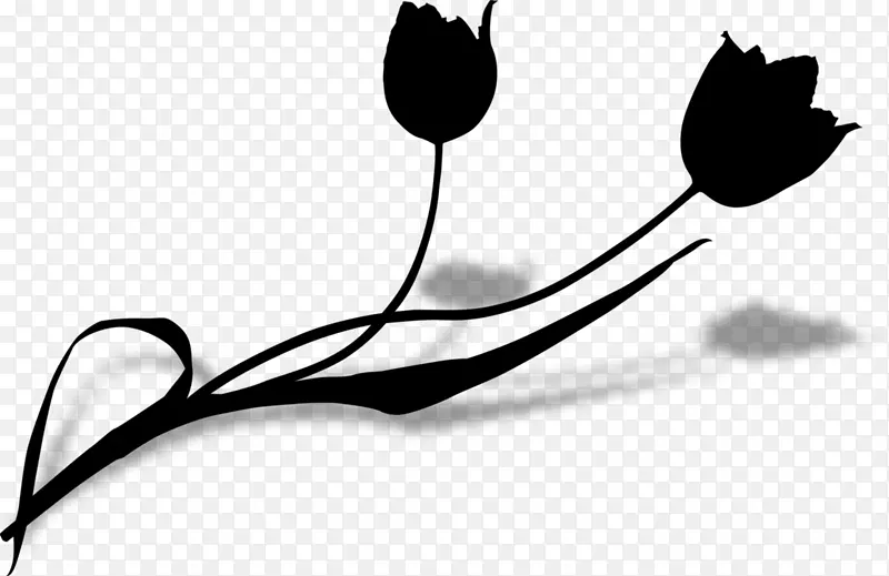 ������Ҷֲ�ﾥϵ����ֲ��-������